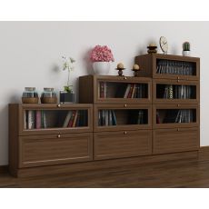 Низкий книжный шкаф со стеклянными дверями горка цвета шимо светлый